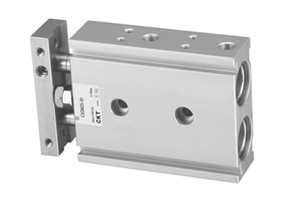 Basic Type Dual Rod Cylinder