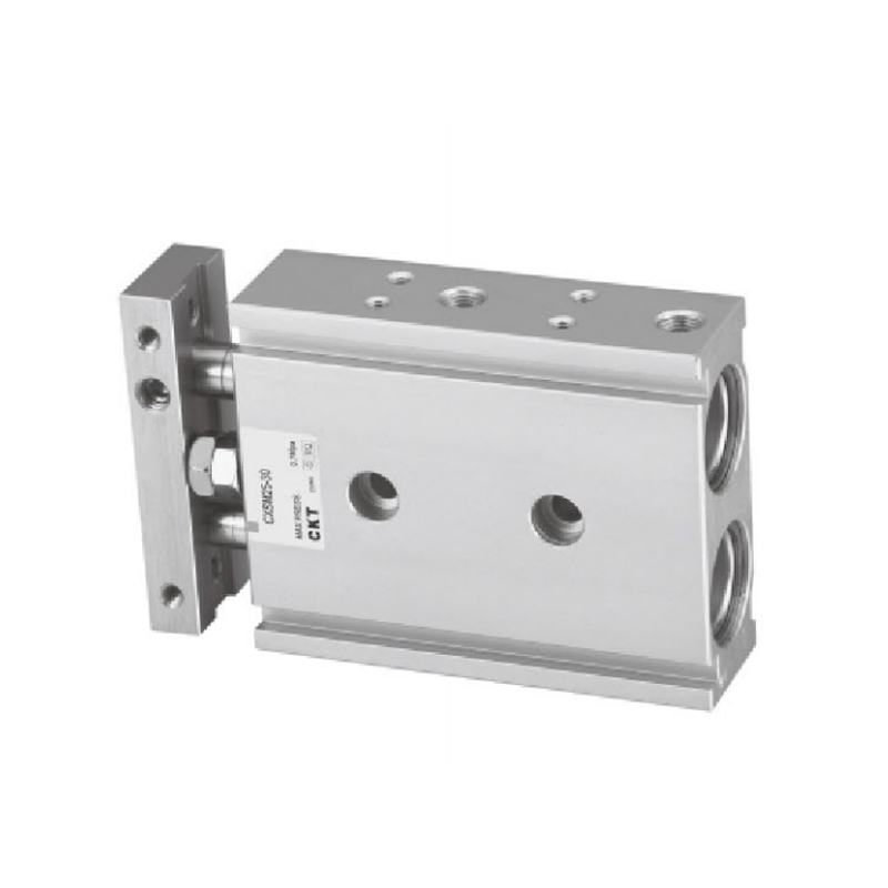 CXS Series Double Cylinder (Basic Type)